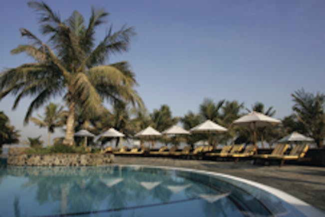 Palm Tree Court Jebel Ali Dubai pool palm tree and sun loungers