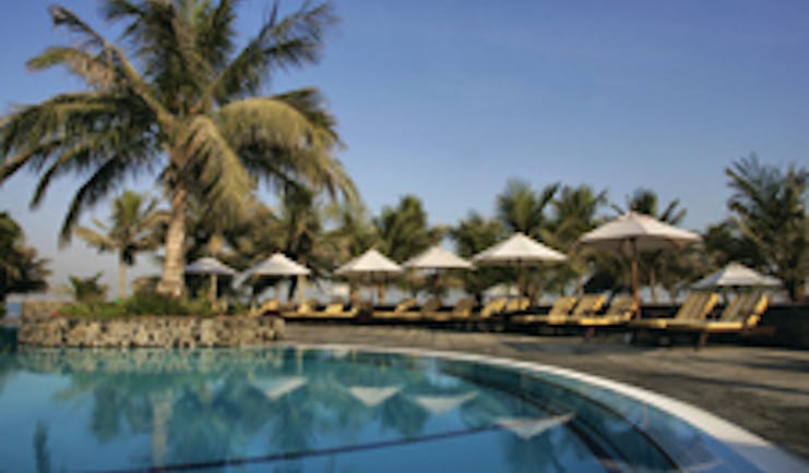 Palm Tree Court Jebel Ali Dubai pool palm tree and sun loungers