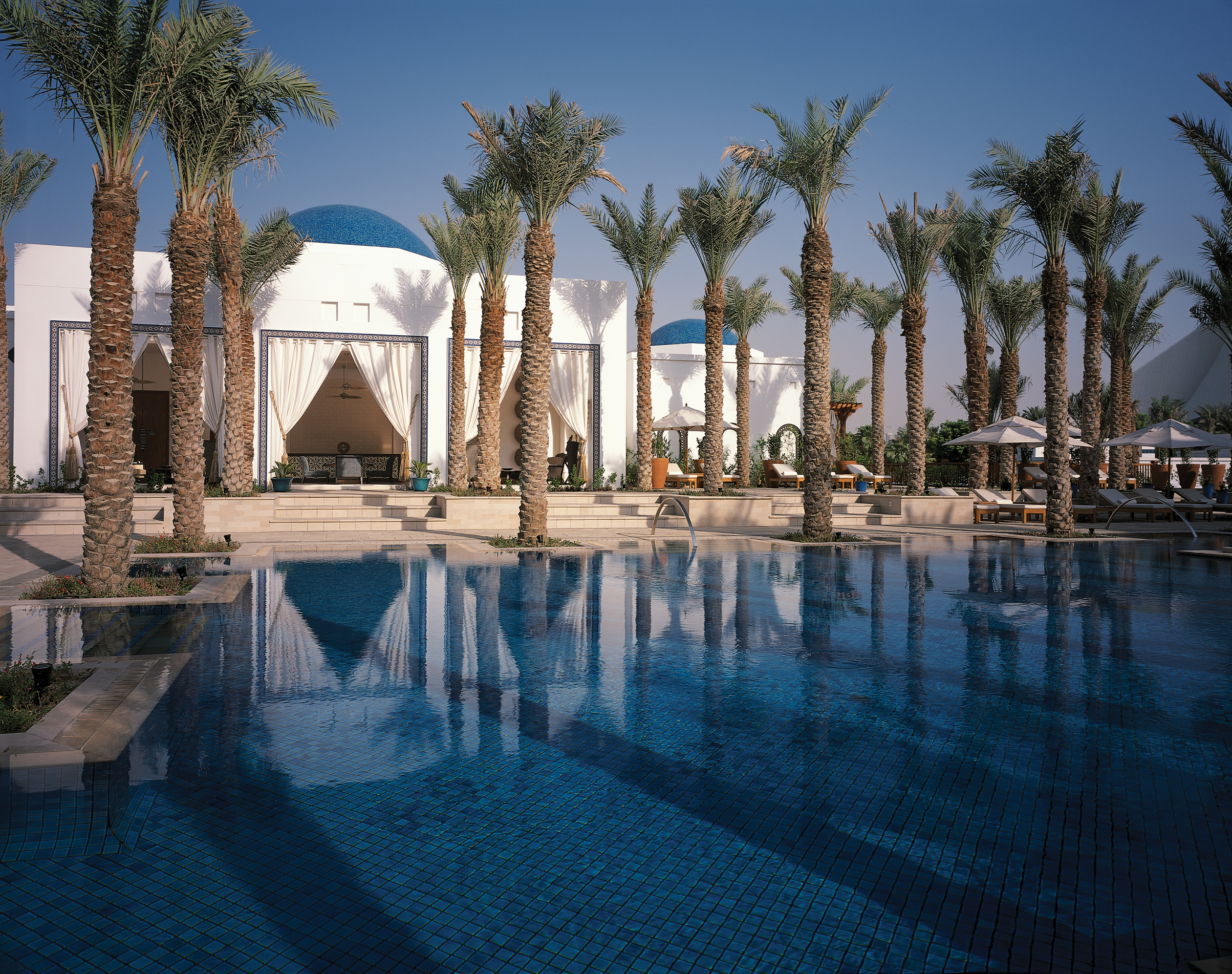 Outdoor pool with palm trees growing around the edges