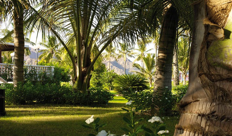 Al Bustan Palace Hotel Oman garden with palm trees and white flowers