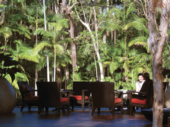 The Byron at Byron New South Wales rainforest seating area in front of rainforest trees