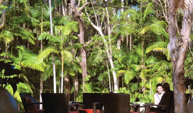 The Byron at Byron New South Wales rainforest seating area in front of rainforest trees