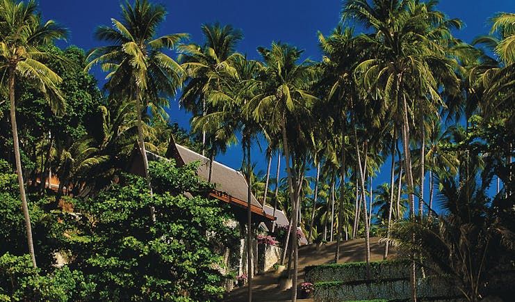 Beach with clear blue sea, sun loungers and umbrellas on the sand and large palm trees in the sea