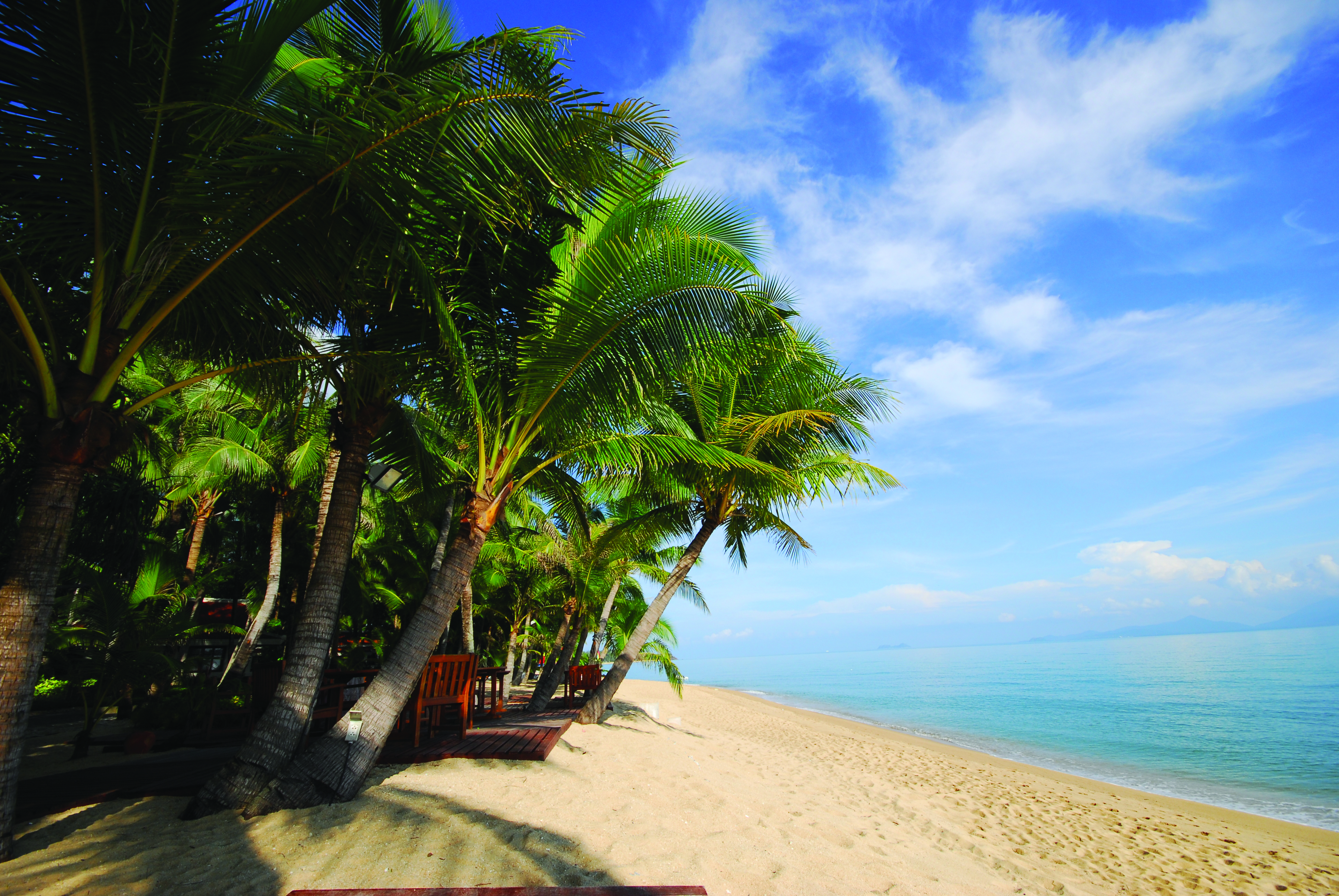 Santiburi Resort Thailand beach white sand sea palm trees