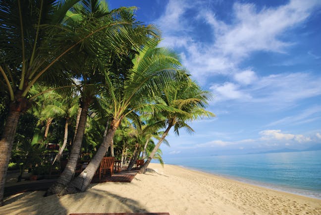 Santiburi Resort Thailand beach white sand sea palm trees