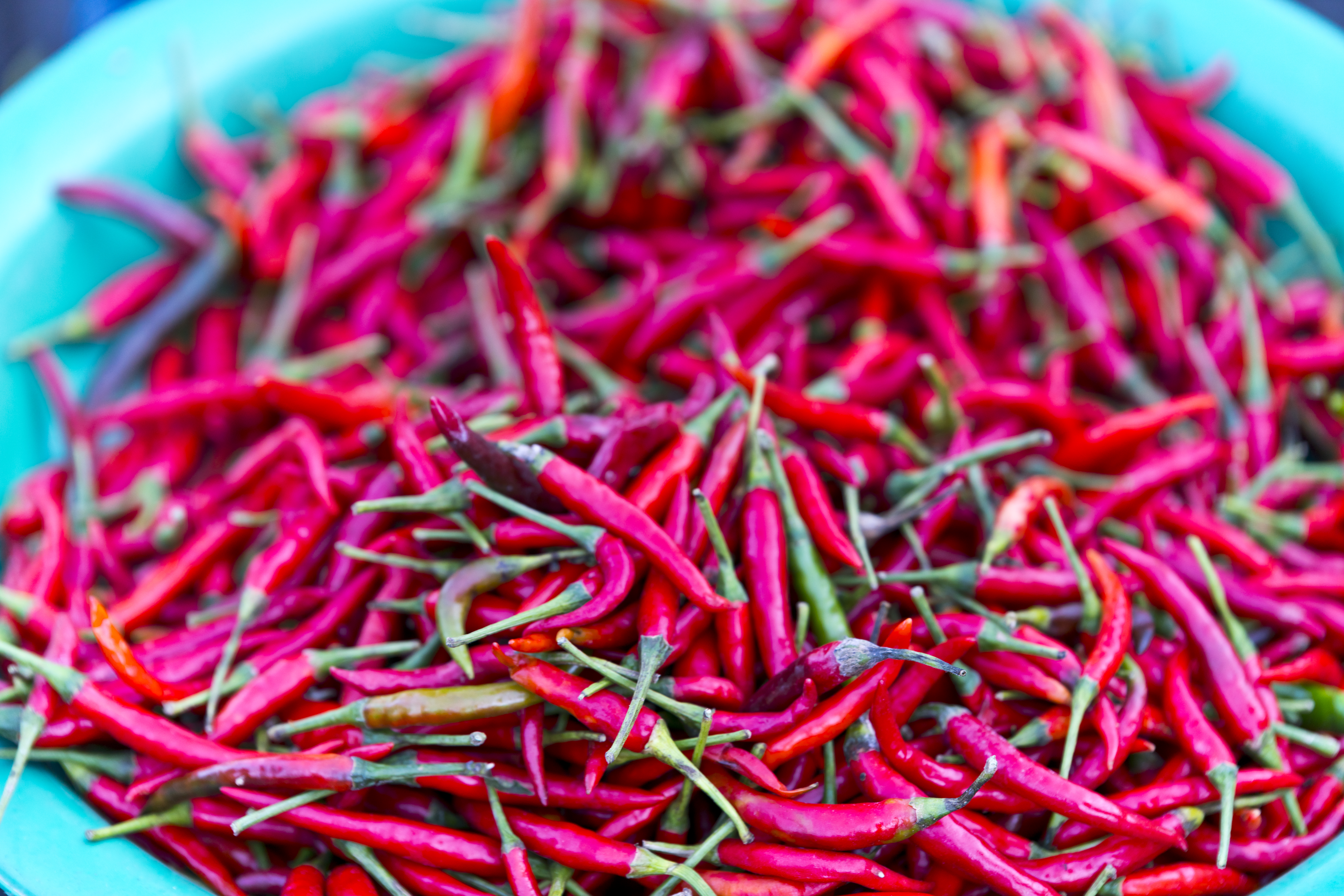 Chillies for sale at market in Thailand