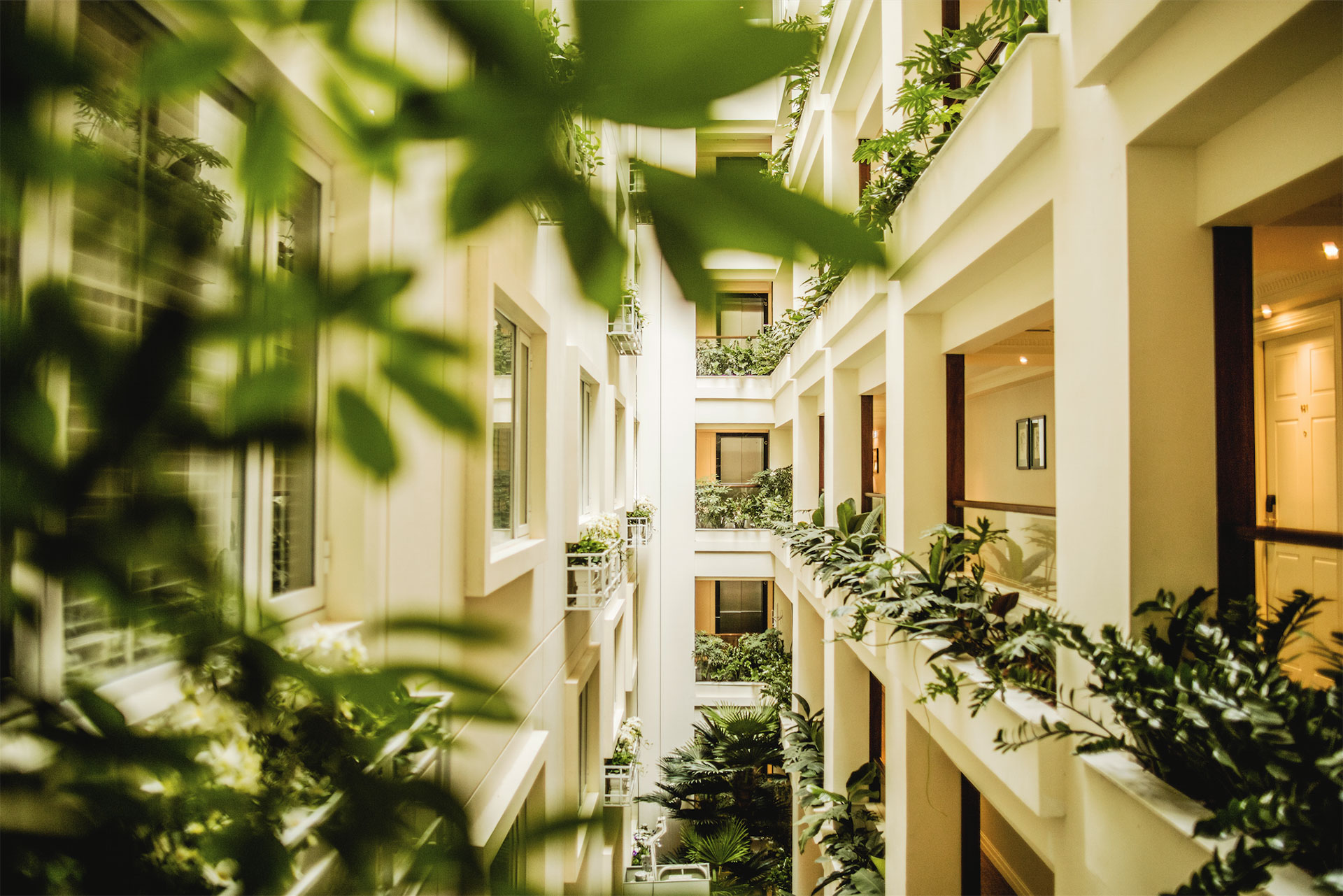 Apricot Hotel corridor, plants growing, bright green foliage, elegant decor