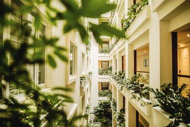 Apricot Hotel corridor, plants growing, bright green foliage, elegant decor