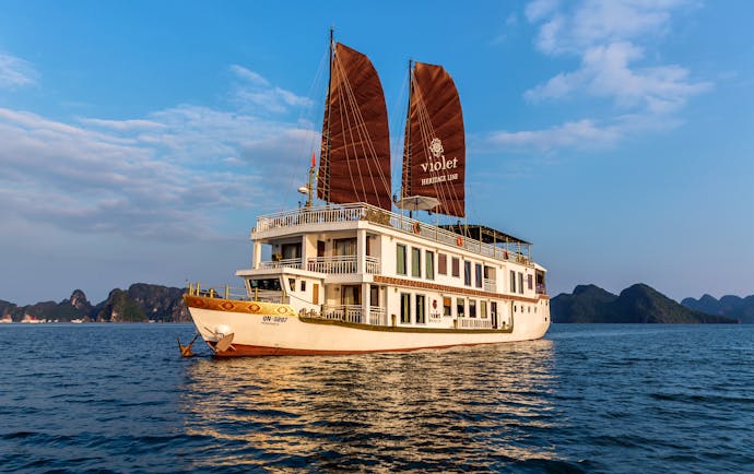 Violet Cruise ship on sea, red sails, islands in background