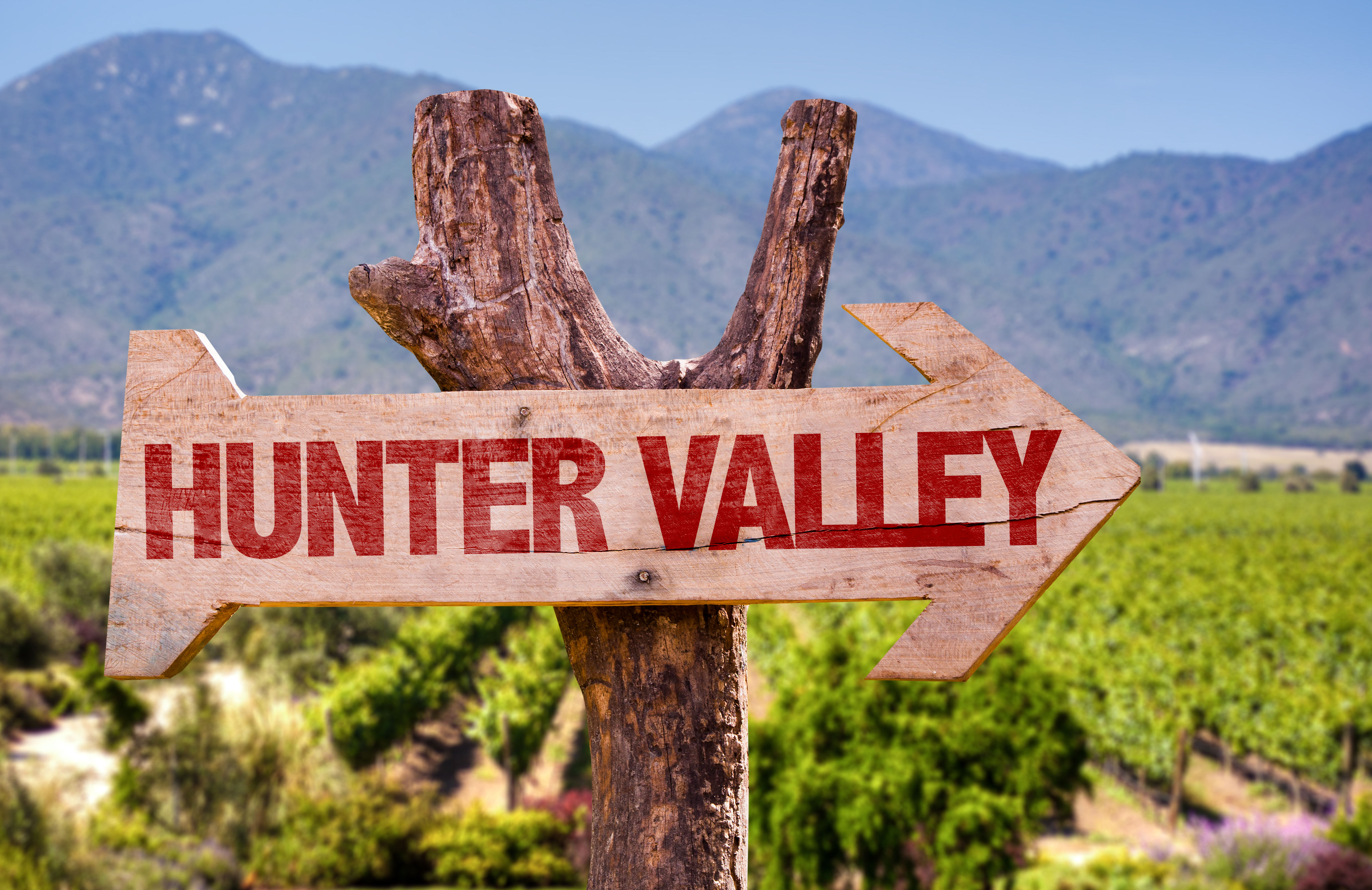 Hunter Valley sign, vineyards in background