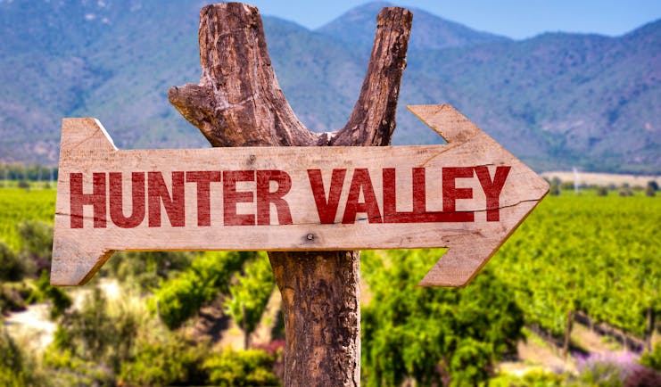 Hunter Valley sign, vineyards in background