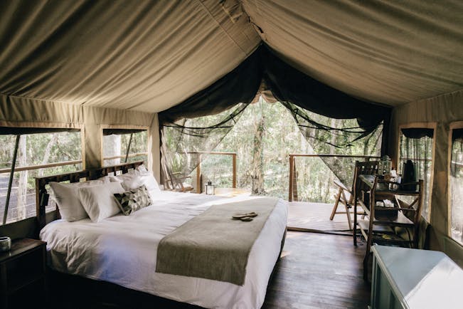 Paperbark Camp New South Wales safari interior tent with large white bed and view of trees