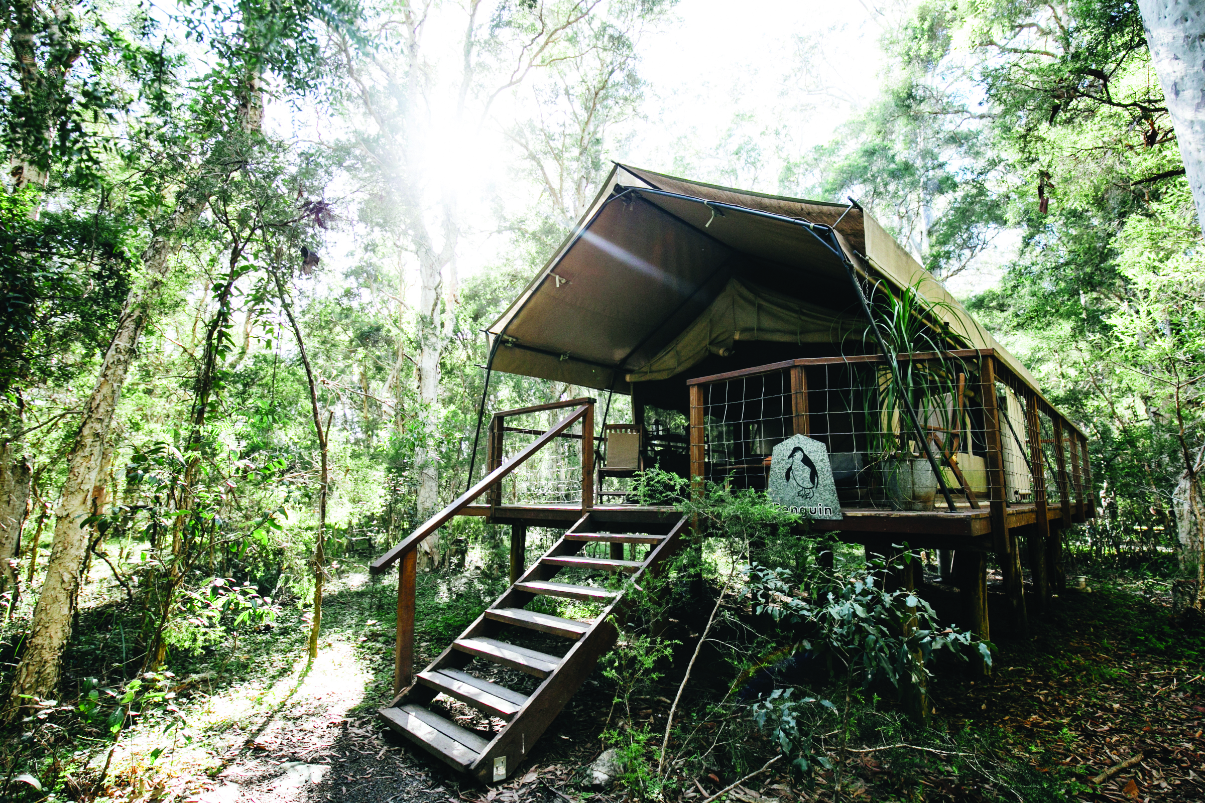 Paperbark Camp New South Wales safari tent steps to tent on a raised deck