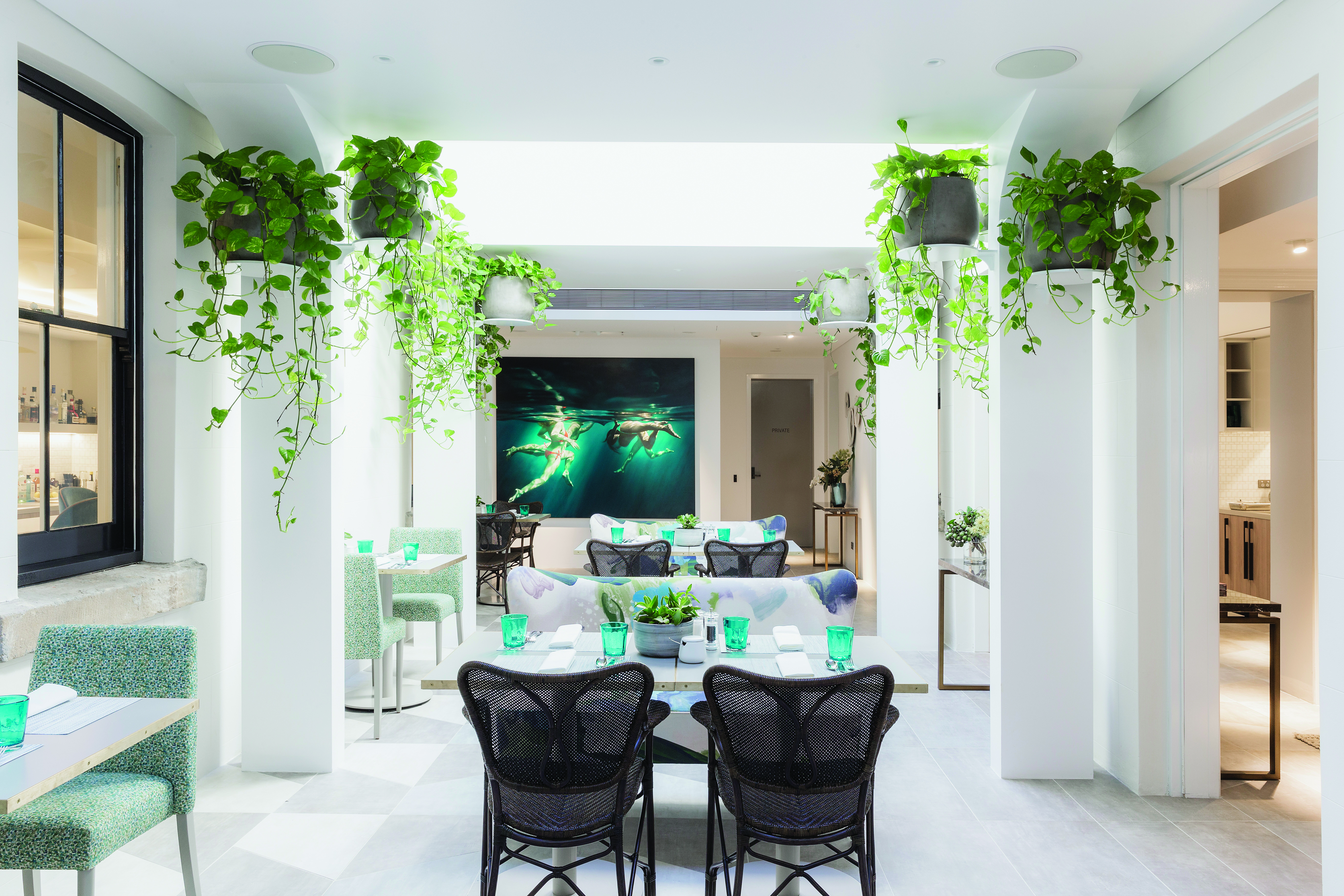 Spicers Potts Point communal garden room with potted plants hanging from the ceilings and chairs set up 