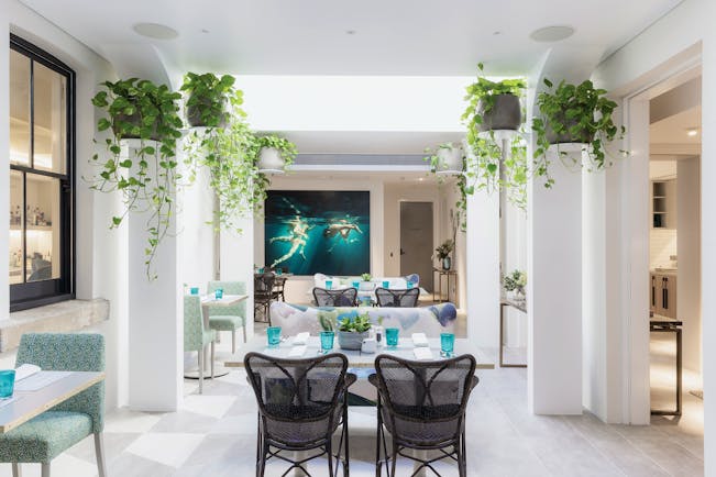 Spicers Potts Point communal garden room with potted plants hanging from the ceilings and chairs set up 