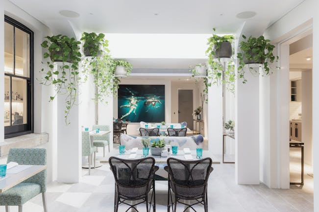 Spicers Potts Point communal garden room with potted plants hanging from the ceilings and chairs set up 