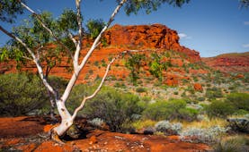 Australian landscape in the Northern Territory, trees, scrub land, mountain in background