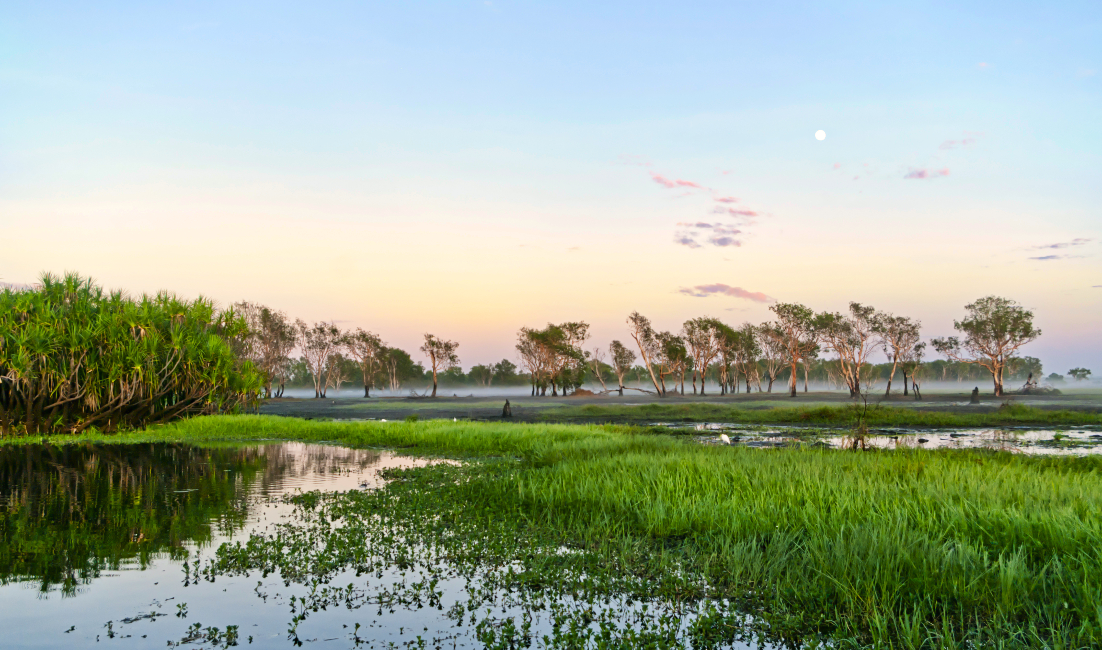 Yellow Water Billabong at sunset, river with lush greenery