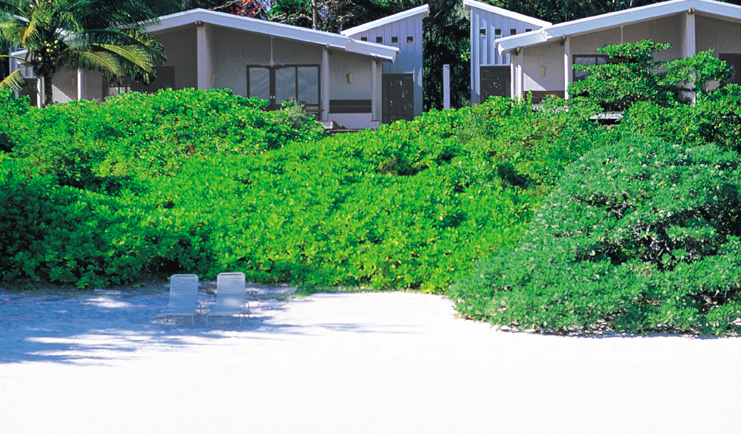 Lizard Island Queensland exterior white buildings surrounded by trees near a beach with loungers
