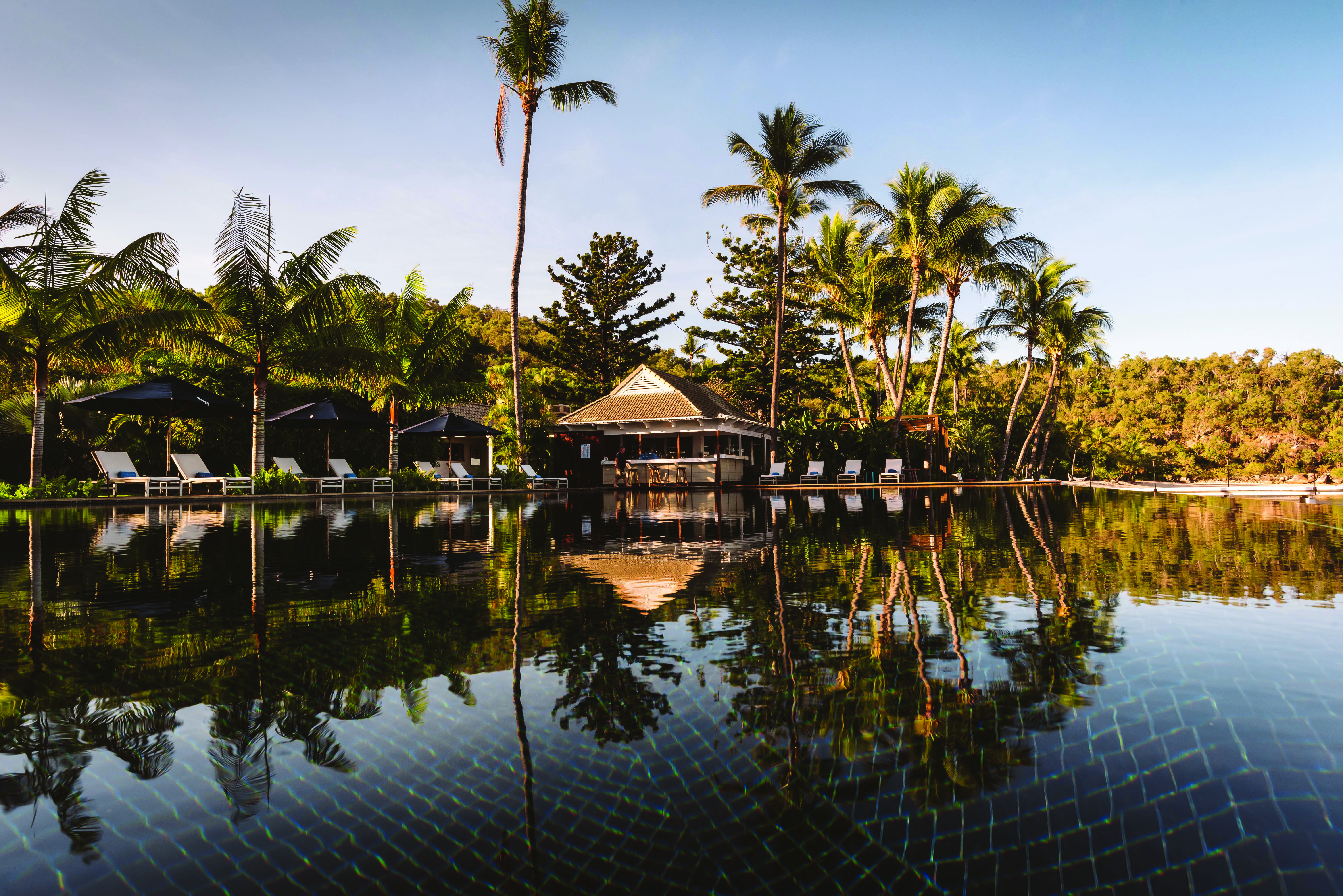Orpheus Island pool, sun loungers, poolside bar, palm trees