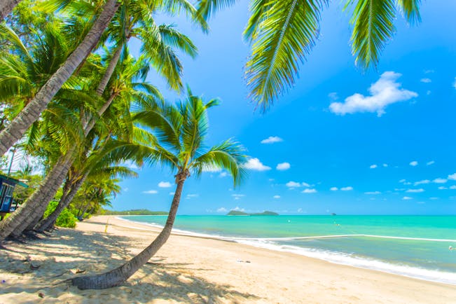 Clifton Beach in Tropical North Queensland, palm tree, white sand, clear blue sea