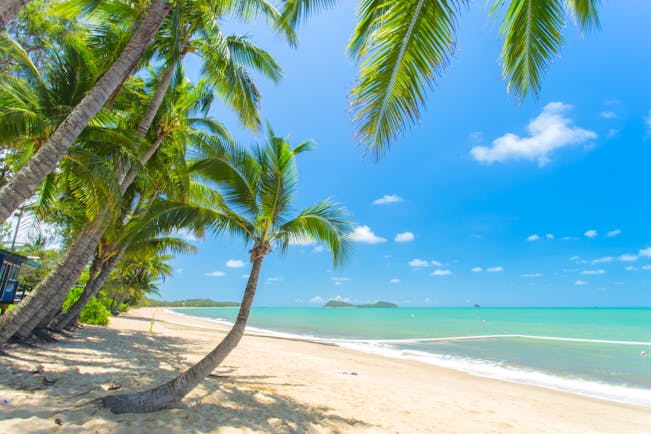 Clifton Beach in Tropical North Queensland, palm tree, white sand, clear blue sea