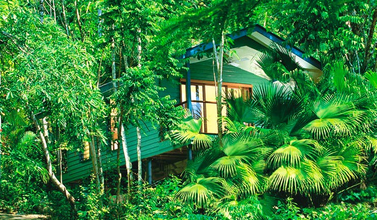 Silky Oaks Lodge Queensland exterior wooden lodge on stilts among trees