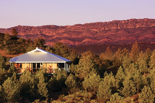 View of the hotel exterior at dusk with the hotel shown amongst bushes of trees 