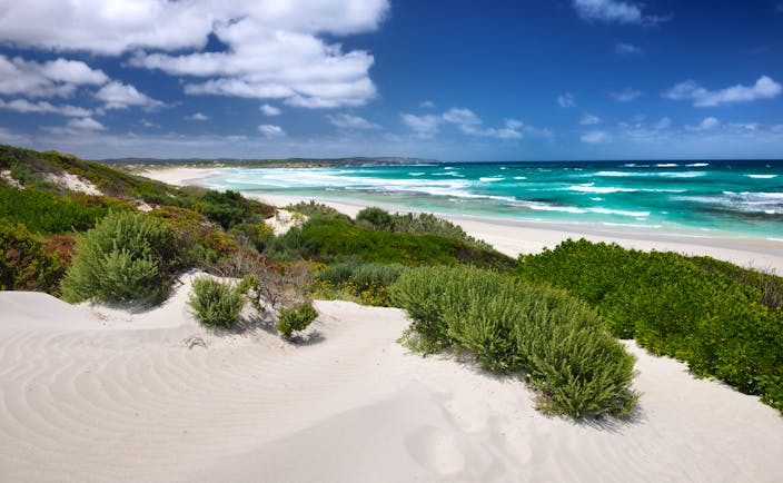 Kangaroo Island beach in Australia