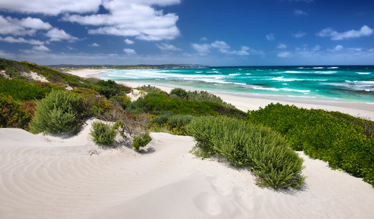 Kangaroo Island beach in Australia