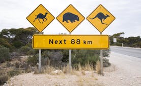 Road sign warning against camels, wombat, kangaroo in Eucla, South Australia