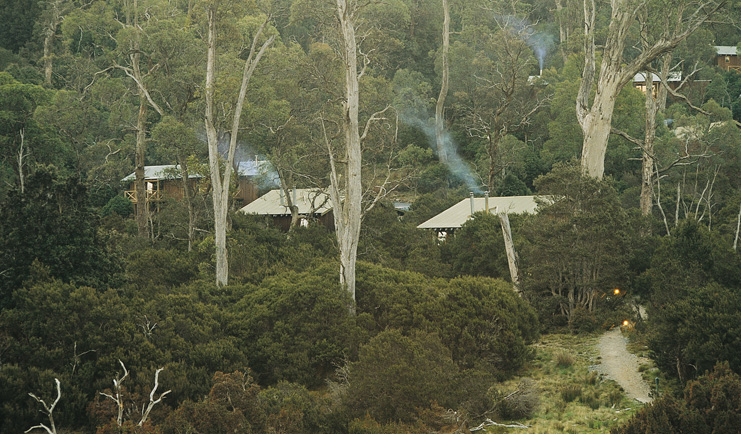 Cradle Mountain Lodge Tasmania cabin complex of wood cabins surrounded by trees