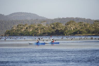 Saffire Freycinet Tasmania kayaking two people kayaking on water with birds