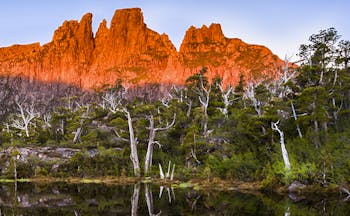 Orange mountain with lake and trees in Tasmania