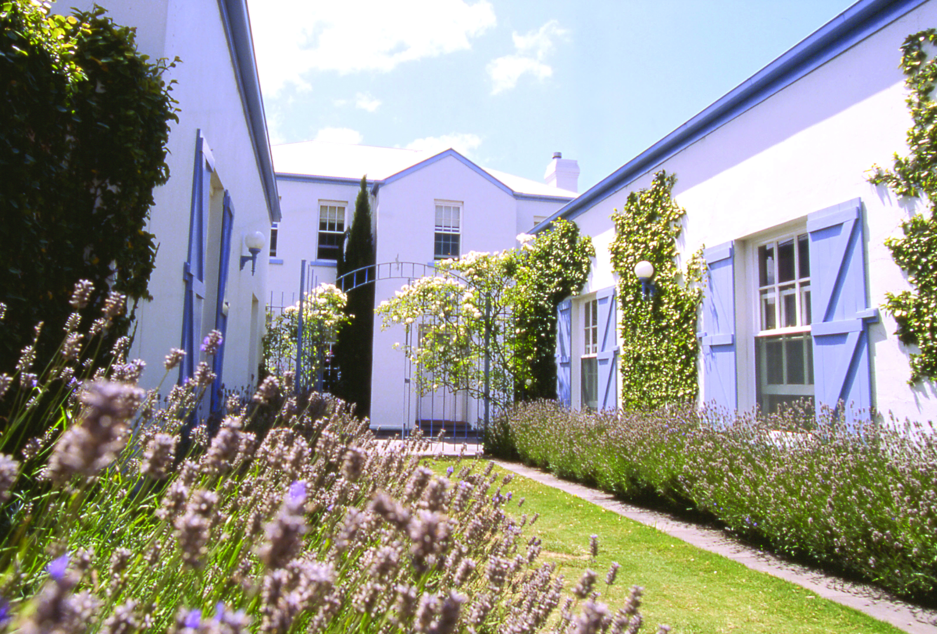Oscars Waterfront Boutique Hotel Victoria and Melbourne courtyard garden with lavender