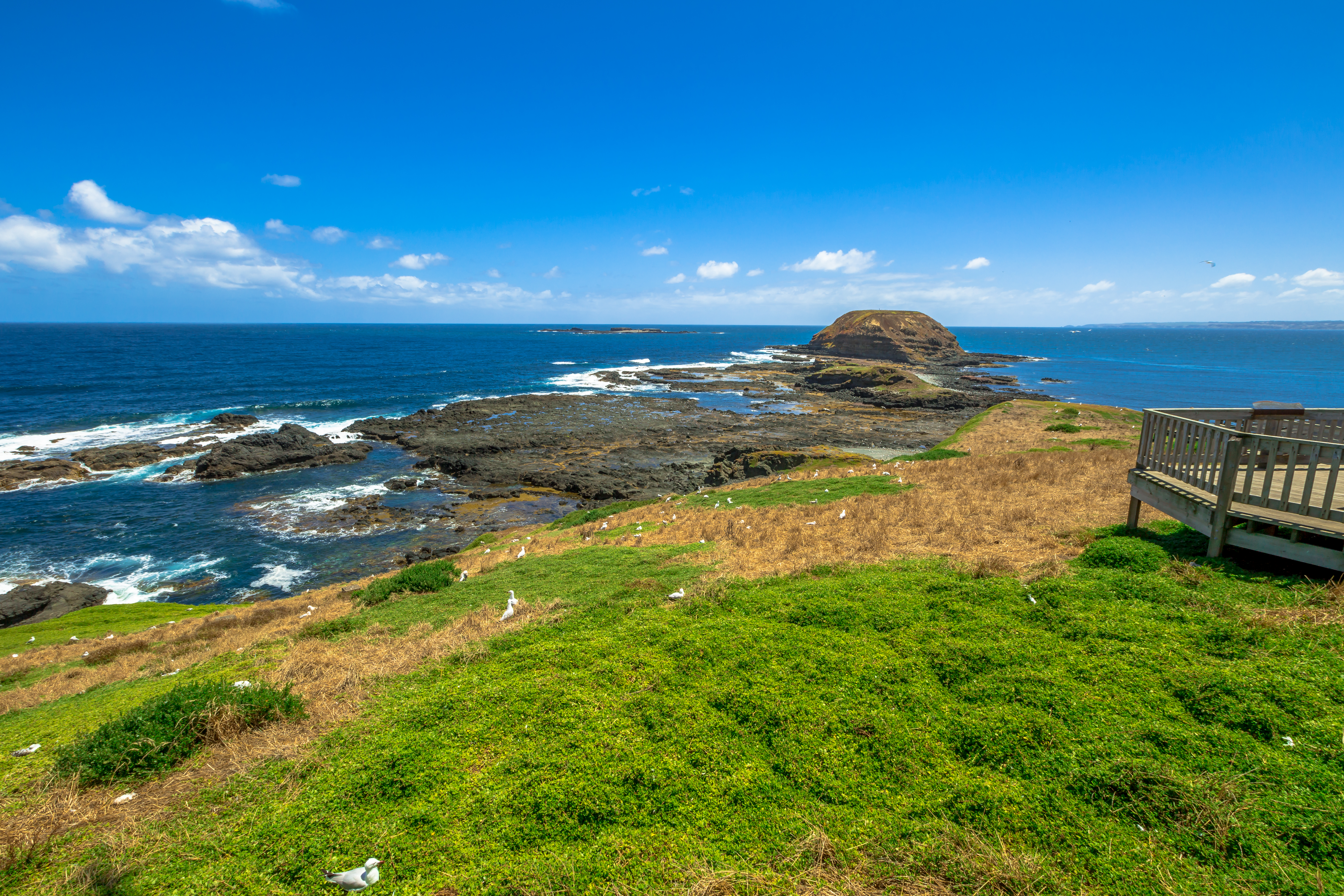 Phillip Island coastal area, sea, coastline