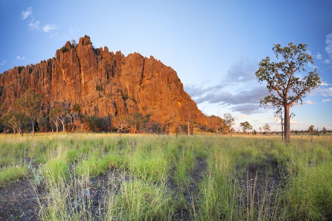Boab tree and red rocks, landscape of the Kimberley region of Australia