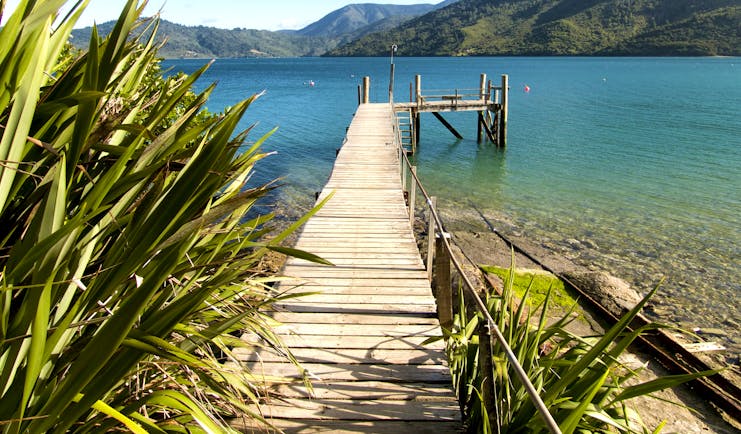 A view from the Queen Charlotte track in the Marlborough Sounds, wooden jetty, mountains, sea