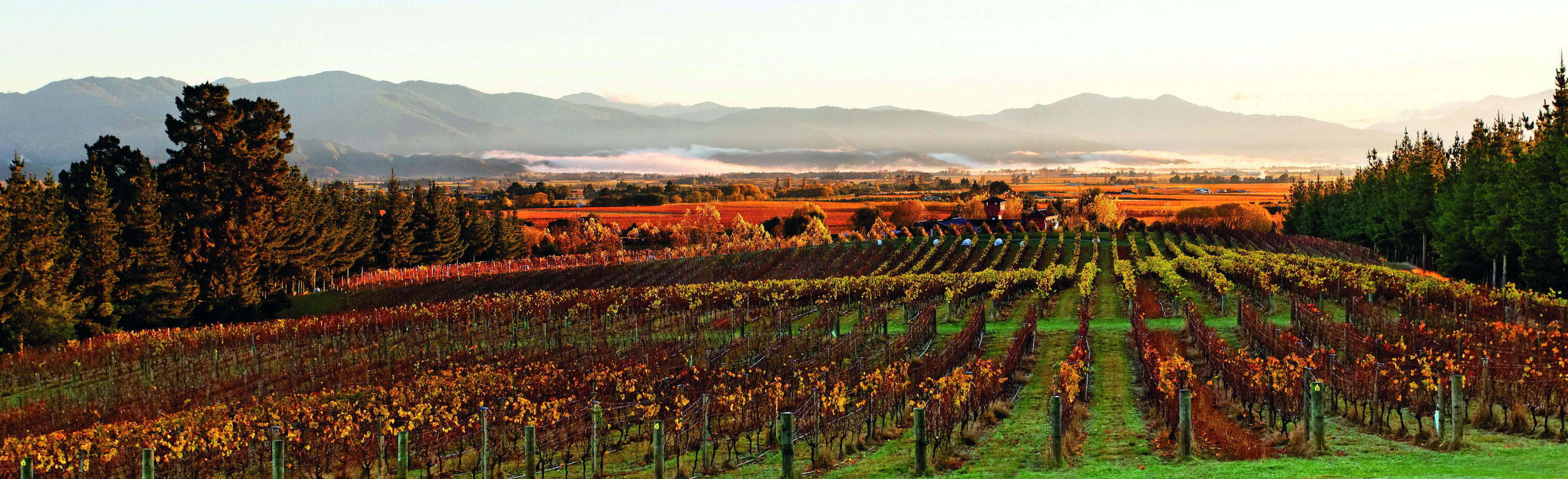 The Bell Tower on Dog Point Blenheim and Marlborough view misty vineyard in front of mountains