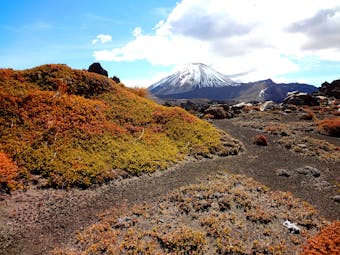 Mount Ngauruhoe in North Island snow capped mountain in background, rugged landscape
