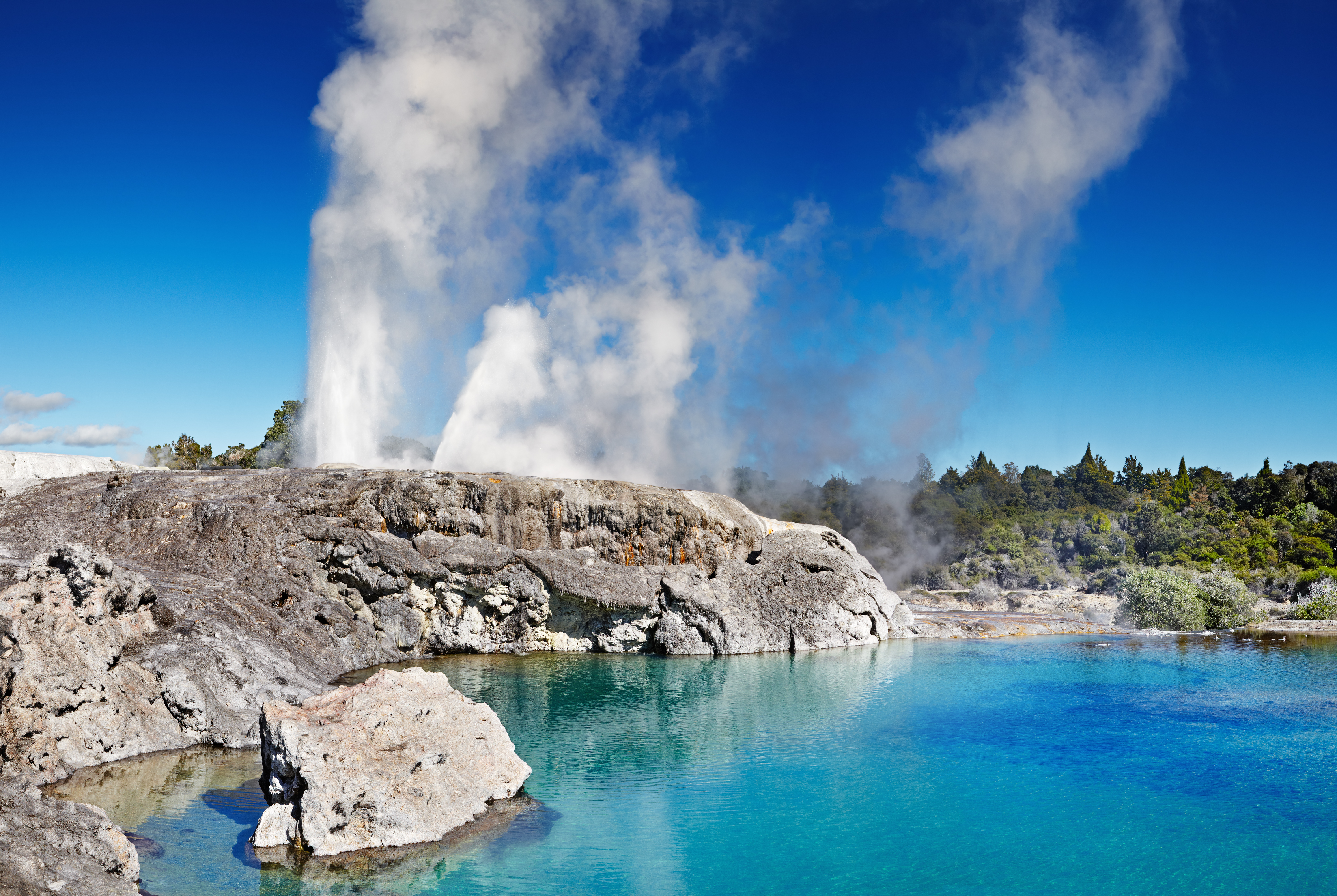 Pohutu Geyser in Rotorua in New Zealand's North Island hot spring erupting