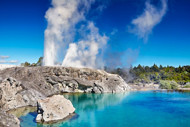 Pohutu Geyser in Rotorua in New Zealand's North Island hot spring erupting