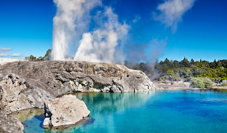 Pohutu Geyser in Rotorua in New Zealand's North Island hot spring erupting