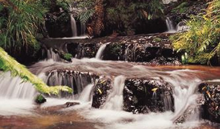 Treetops Lodge Central North Island river close up of stepped waterfall in forest