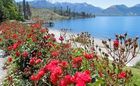 Lake in Walter Peak High Country Farm on the South Island, clear blue water, mountains, red flowers