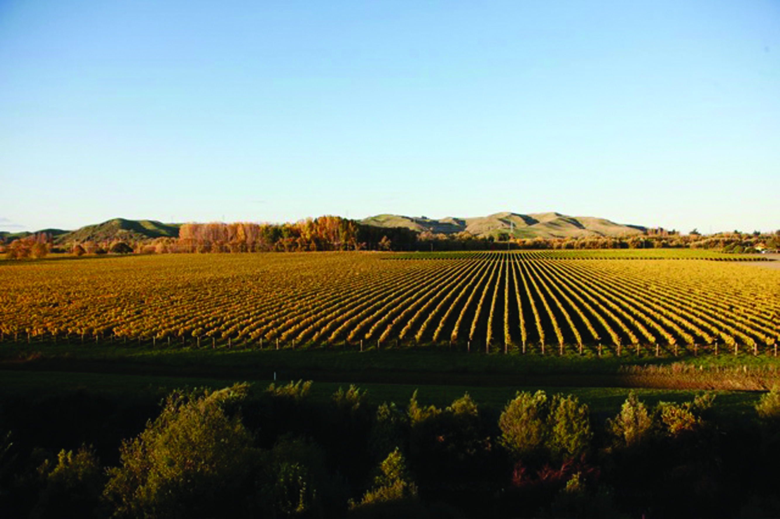 Beckenridge Lodge Hawkes Bay and Napier vineyard aerial view of vineyards and mountains
