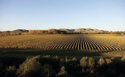Beckenridge Lodge Hawkes Bay and Napier vineyard aerial view of vineyards and mountains