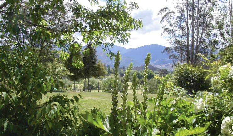 Edenhouse Luxury Lodge Nelson Abel and Tasman garden with lawned area and mountain view