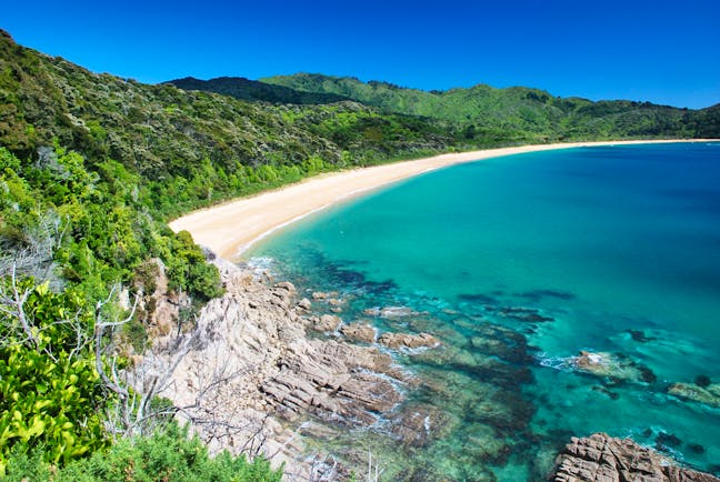 Abel Tasman National Park coastline, white sandy beach, bright blue ocean, verdant green forest