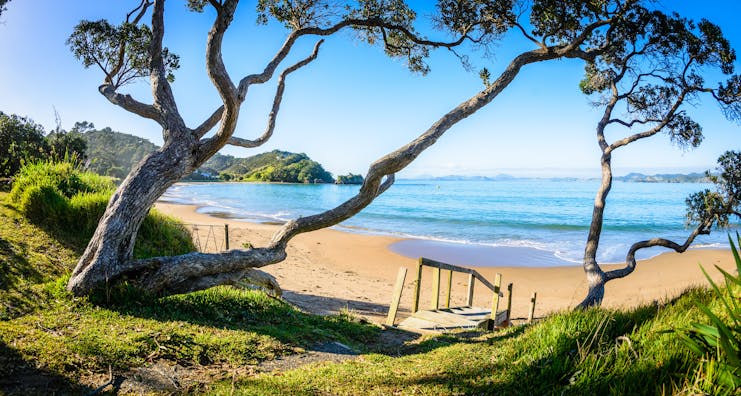 A beach in the Northland regions, golden sand, blue waters, pohutukawa tree